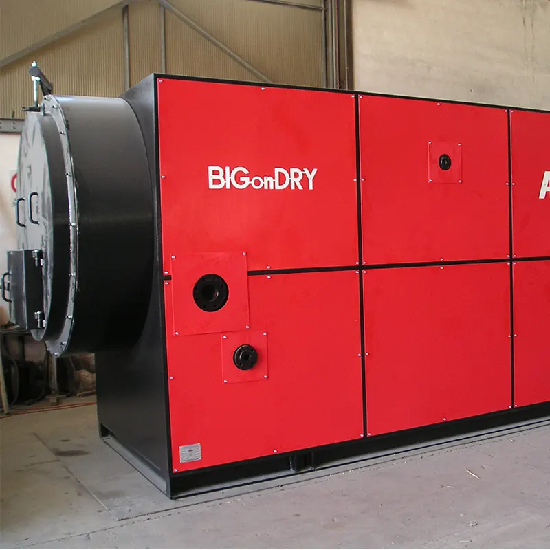Caldaia a biomassa - Ahena Boilers - Acqua Surriscaldata - 12 Caldaia a biomassa - Ahena Boilers - Acqua Surriscaldata - 12