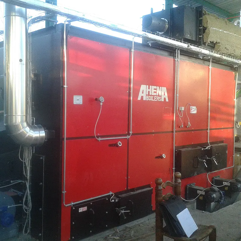 Caldaia a biomassa - Ahena Boilers - Combustori a secco - 02
