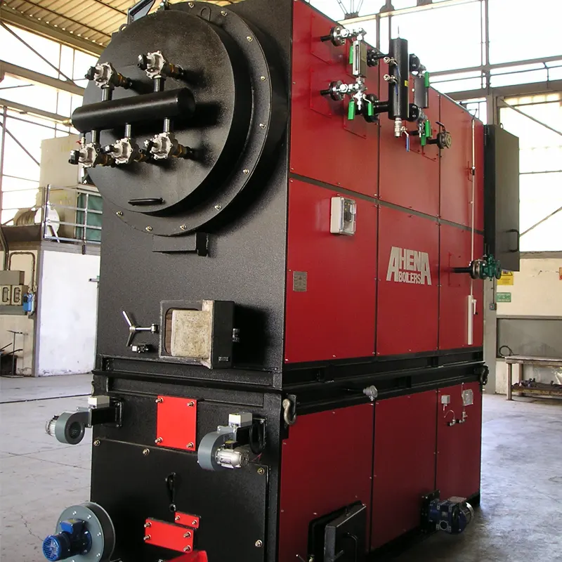 Caldaia a biomassa - Ahena Boilers - Generatori di Vapore - 02